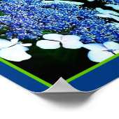 Blue Lacecap Hydrangea Flower Up Abstract Poster (Hoek)
