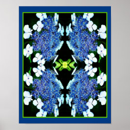 Blue Lacecap Hydrangea Flower Up Abstract Poster