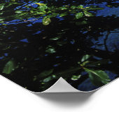 Blue Lagoon, Port Antonio, Jamaica Poster (Hoek)