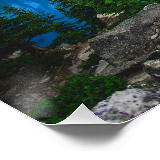 Blue Lake Rocky Mountain Pine Forest Perfect Poster (Hoek)