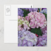 Blue Lavender Hydrangeas Briefkaart (Voorkant / Achterkant)
