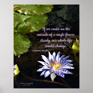 Blue Lavender Yellow Centre Water Lily Flower Poster