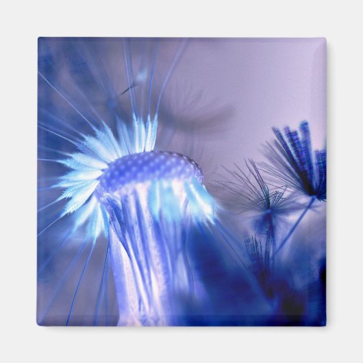 Blue Light Floral Print Square Magnet (Voorkant)