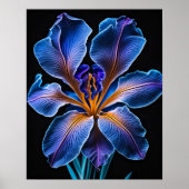 Blue Lily Poster (Voorkant)