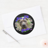 Blue Lily Studio sticker (Envelop)