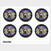 Blue Lily Studio sticker (Vel)
