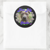 Blue Lily Studio sticker (Tas)