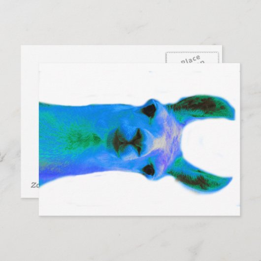 Blue Llama Graphic Briefkaart (Voorkant / Achterkant)