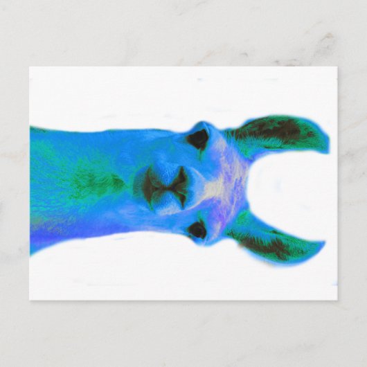 Blue Llama Graphic Briefkaart (Voorkant)