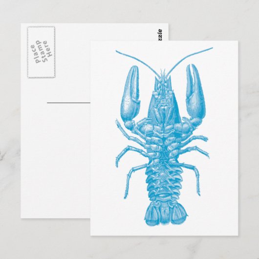 Blue Lobster Briefkaart (Voorkant / Achterkant)