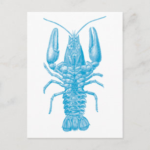 Blue Lobster Briefkaart