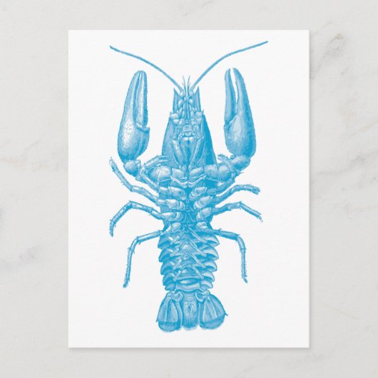 Blue Lobster Briefkaart (Voorkant)
