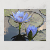 Blue Lotus Duet Briefkaart (Voorkant)