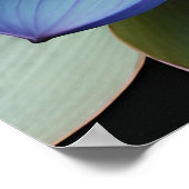 Blue Lotus Flower Spirituele kunst Poster (Hoek)