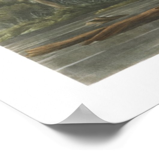 Blue Louisiana Heron Bird Illustration Poster (Hoek)