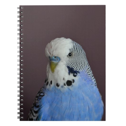 Blue Lovely Budgie Notitieboek (Voorkant)