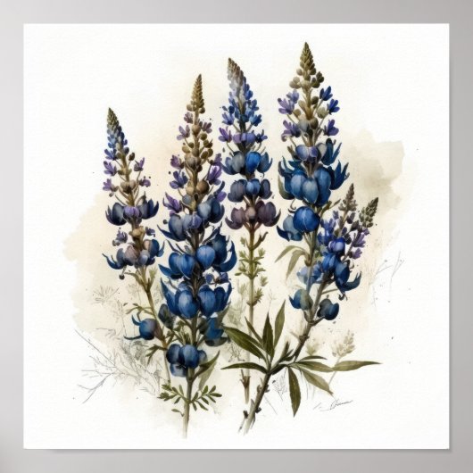 Blue Lupine Flower Art Print Poster (Voorkant)