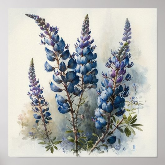 Blue Lupine Flower Art Print Poster (Voorkant)