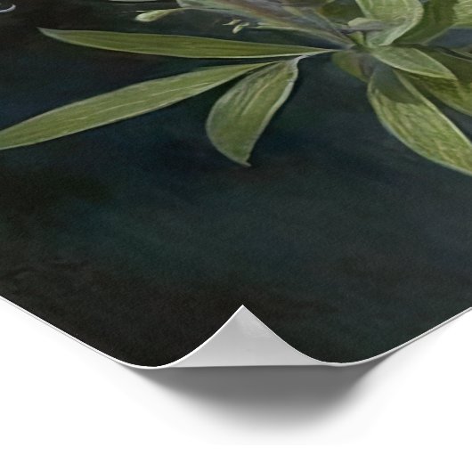 Blue Lupine Flower Art Print Poster (Hoek)