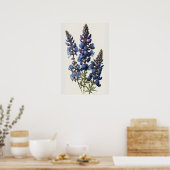 Blue Lupine Flower Art Print Poster (Keuken)