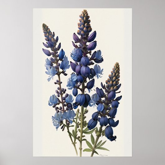 Blue Lupine Flower Art Print Poster (Voorkant)