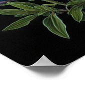 Blue Lupine Flower Art Print Poster (Hoek)