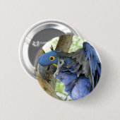 Blue Macaw Button (Voorkant /achterkant)