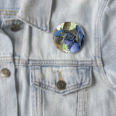 Blue Macaw Button (In situ)
