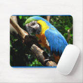 Blue Macaw Muismat (Met muis)