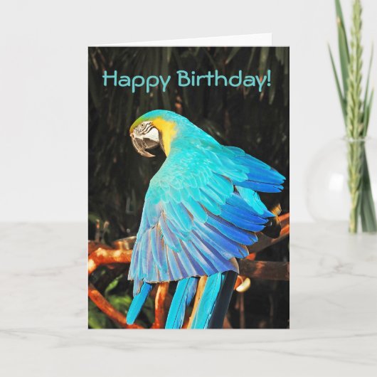 Blue Macaw Parrot Birthday wenskaart Kaart (Voorkant)