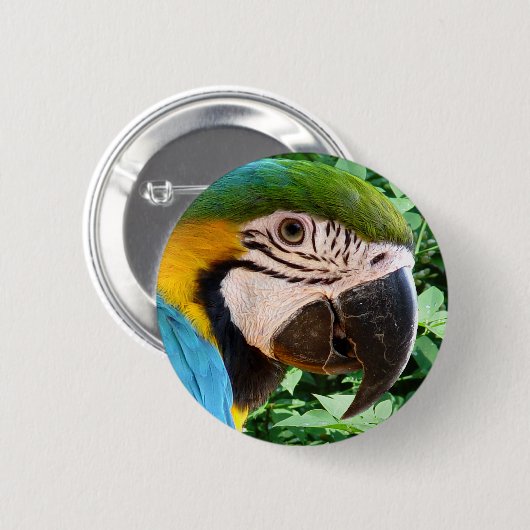 Blue Macaw Parrot Button (Voorkant /achterkant)