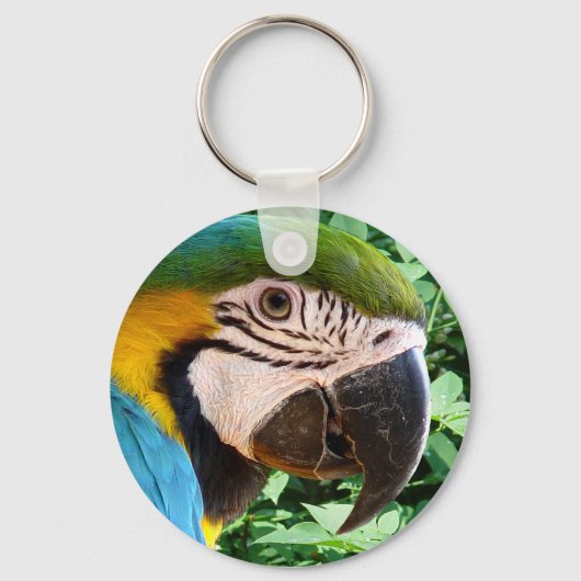 Blue Macaw Parrot Sleutelhanger (Voorkant)