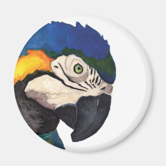 Blue Macaw Portrait Magnet (Voorkant)