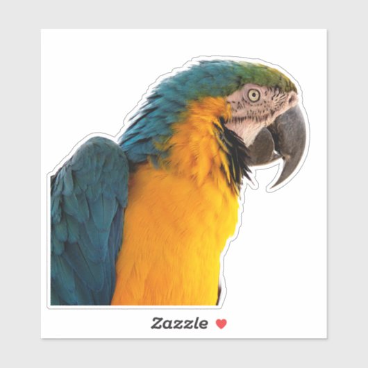 Blue Macaw Sticker (Vel)