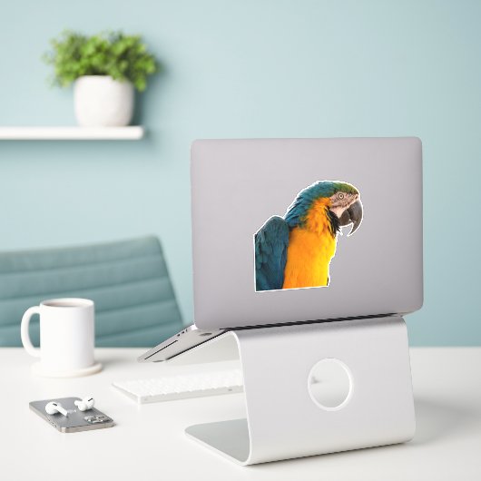 Blue Macaw Sticker (Laptop op bureau)