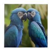 Blue Macaw Tegeltje (Voorkant)