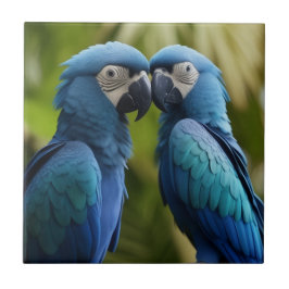 Blue Macaw Tegeltje