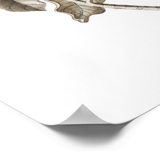 Blue Magnolia Botanical Traditional Wall Decor Poster (Hoek)