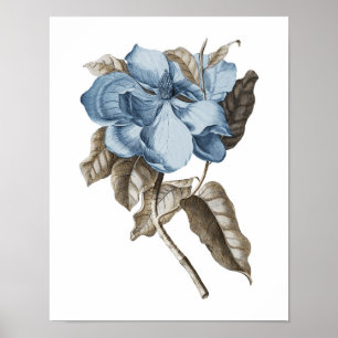 Blue Magnolia Botanical Traditional Wall Decor Poster