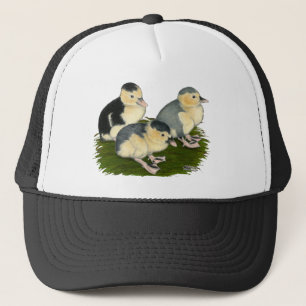 Blue Magpie Ducklings Trucker Pet