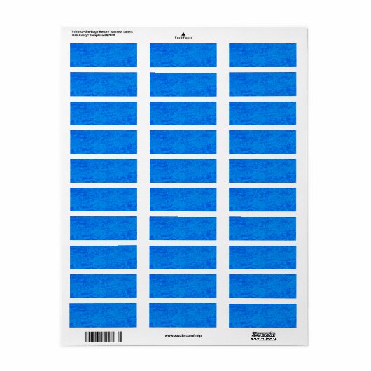 Blue Marble Return Address Sticker (Full Sheet)