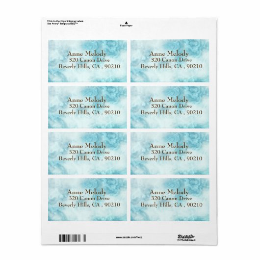 Blue Marble Return-adreslabel Etiket (Full Sheet)