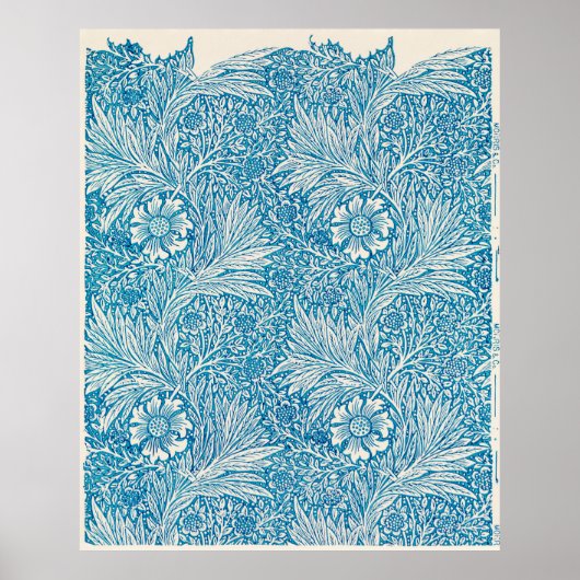 Blue Marigold Poster (Voorkant)