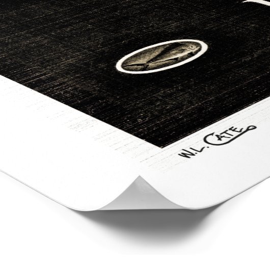 Blue Marlin  B&W Posters, Prints en Lijsten (Hoek)