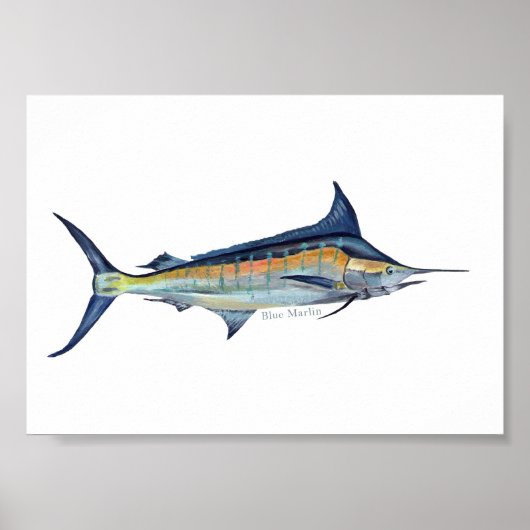Blue Marlin poster (Voorkant)