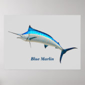 Blue Marlin Poster (Voorkant)
