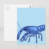 Blue Marron Sketch Briefkaart (Voorkant / Achterkant)