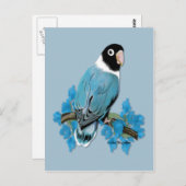 Blue Masked Lovebird Briefkaart (Voorkant / Achterkant)