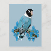Blue Masked Lovebird Briefkaart (Voorkant)