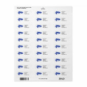 Blue Matuka Trout Fly Return Address Label (Full Sheet)
